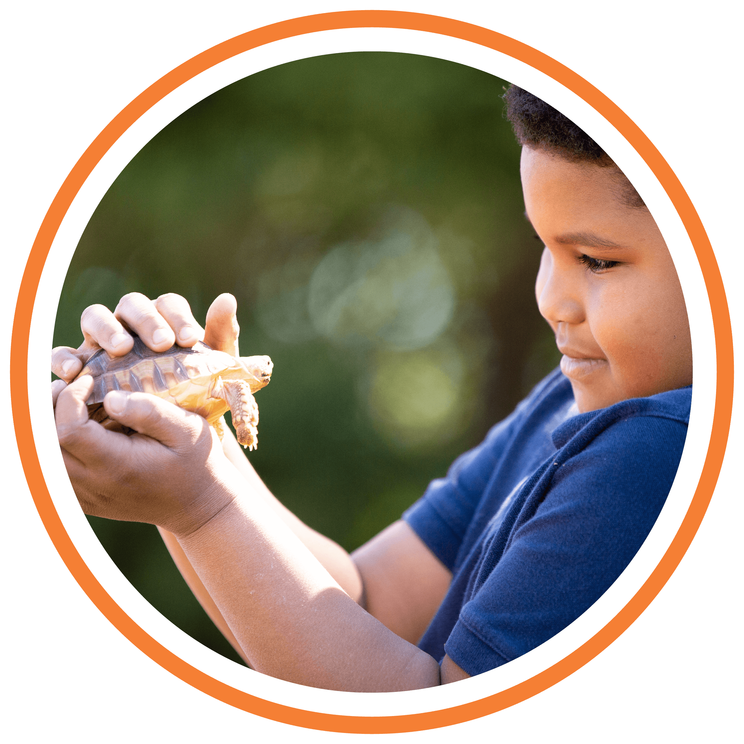 circle image of child holding a turtle in his hands