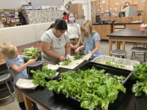 Photo of MMAEC Eco-Club students working with plants in the classroom.